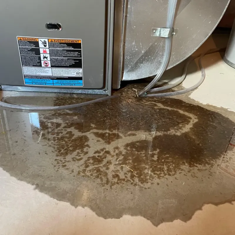 Appliance Leak Cleanup in Larch Way, WA