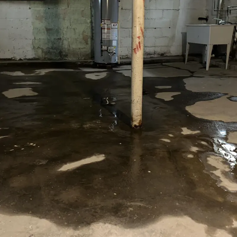 Emergency Water Extraction And Removal in Larch Way, WA